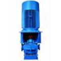 Vertical Split Casing Double Suction Centrifugal Water Pump